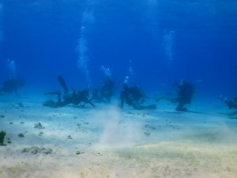 012 Divers at Stingray City IMG 5943